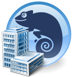 Main Organization Admin